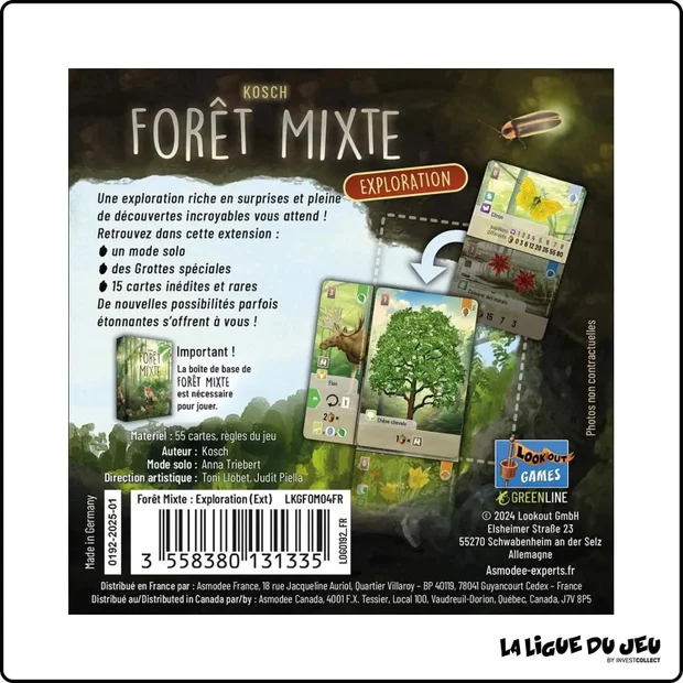 Forêt Mixte - Extension : Exploration