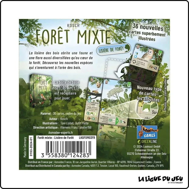 Forêt Mixte - Extension : Lisière de forêt
