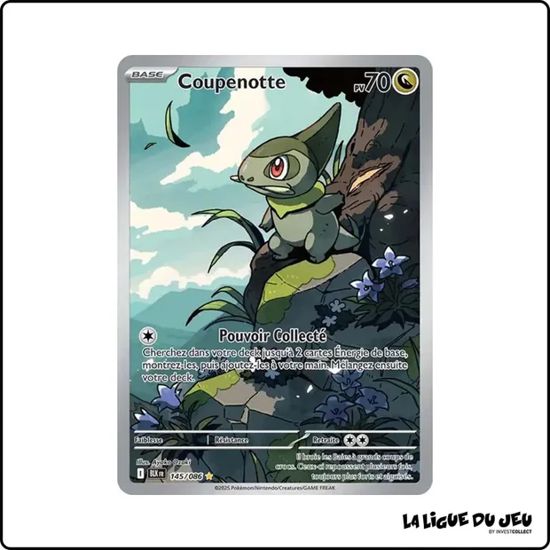 IR - Pokemon - Foudre Noire - Coupenotte 145/86