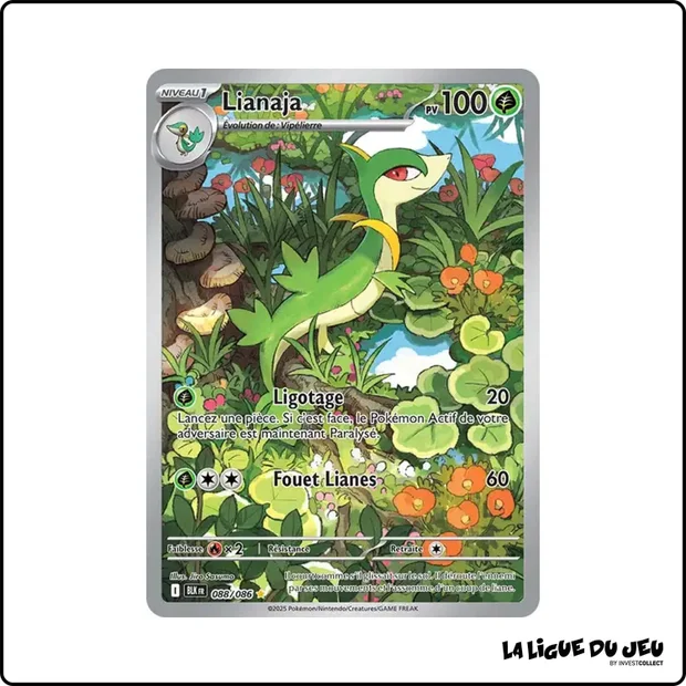 IR - Pokemon - Foudre Noire - Lianaja 88/86