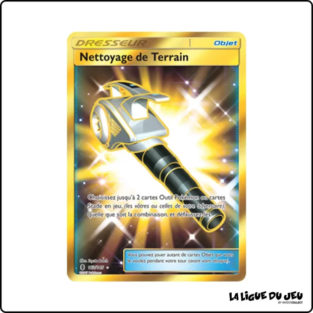 Secrete - Pokemon - Gardiens Ascendants - Nettoyage de Terrain 163/145